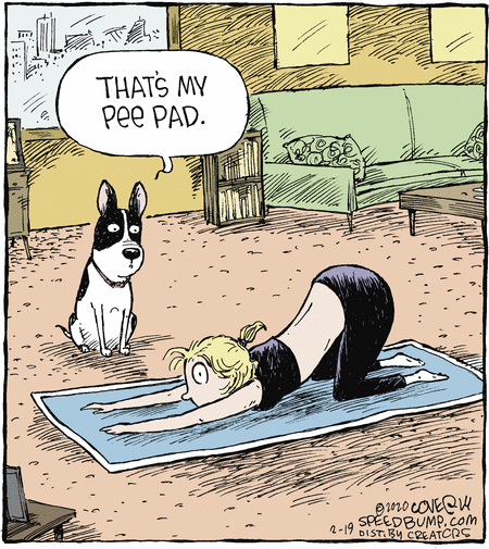 Speed Bump Comic Strip for February 19, 2020 
