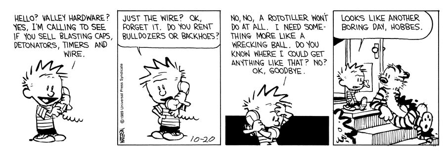 Calvin and Hobbes Comic Strip for October 20, 1989 