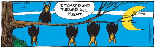 Bound and Gagged Comic Strip for January 14, 2008 