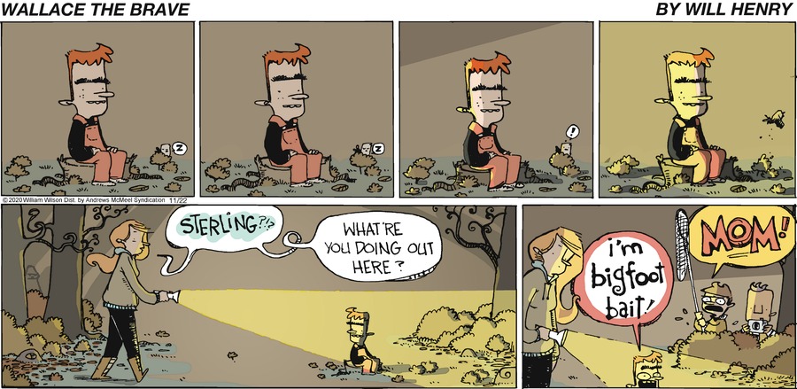 Wallace the Brave Comic Strip for November 22, 2020 
