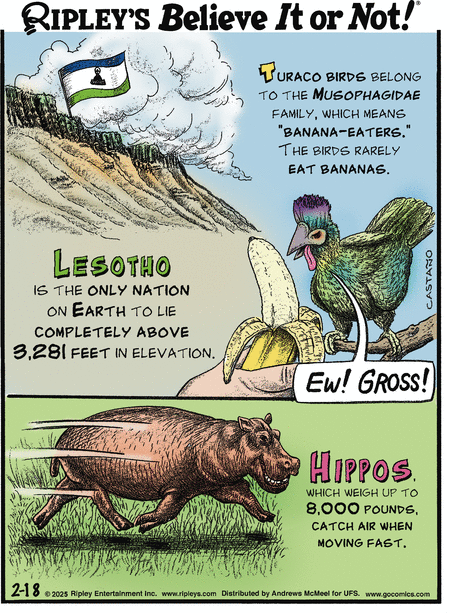 Ripley's Believe It or Not Comic Strip for February 18, 2025 
