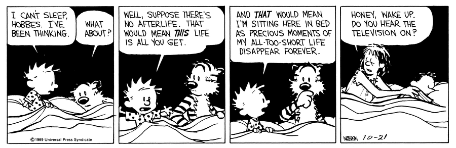 Calvin and Hobbes Comic Strip for October 21, 1989 
