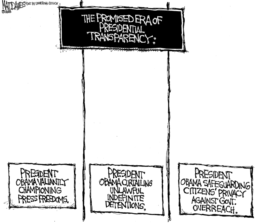 Matt Davies Comic Strip for June 08, 2013 