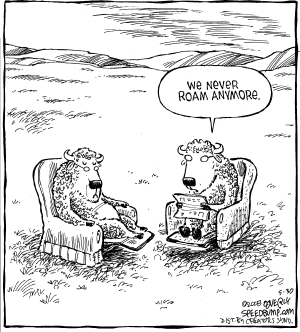 Speed Bump Comic Strip for May 30, 2008 