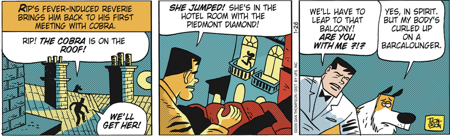 Rip Haywire Comic Strip for January 26, 2009 