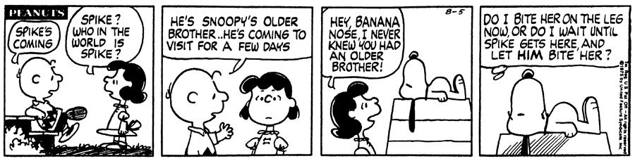 Peanuts Comic Strip for August 05, 1975 