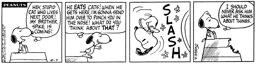 Peanuts Comic Strip for August 07, 1975 
