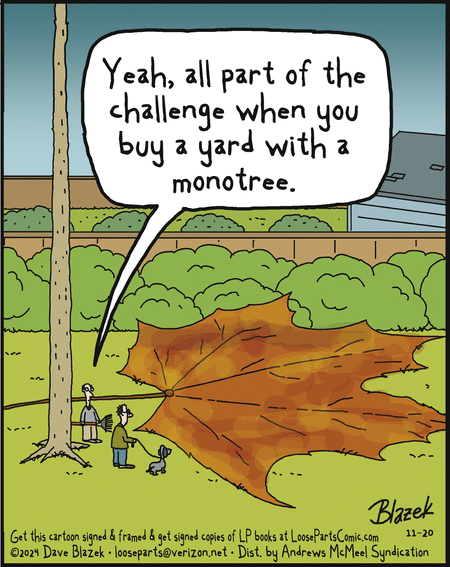 Loose Parts Comic Strip for November 20, 2024 