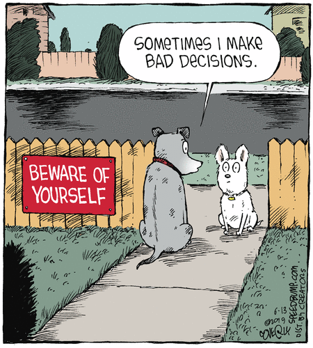 Speed Bump Comic Strip for June 13, 2019 