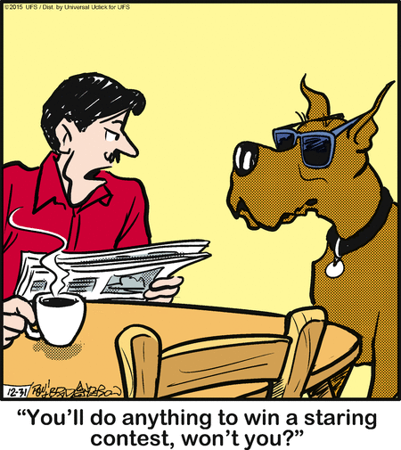 Marmaduke Comic Strip for December 31, 2015 