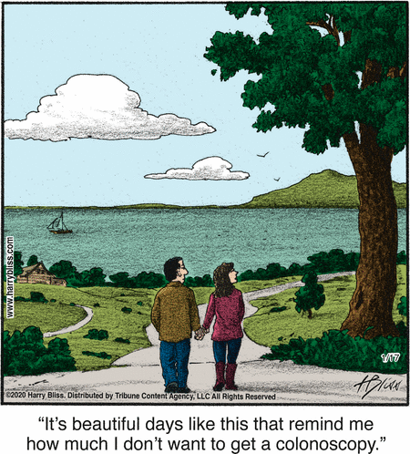 Bliss Comic Strip for January 17, 2020 