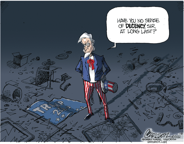 Stuart Carlson Comic Strip for January 08, 2021 