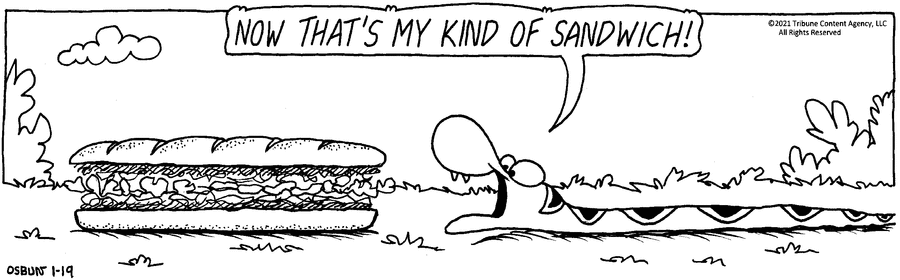 Animal Crackers Comic Strip for January 19, 2021 