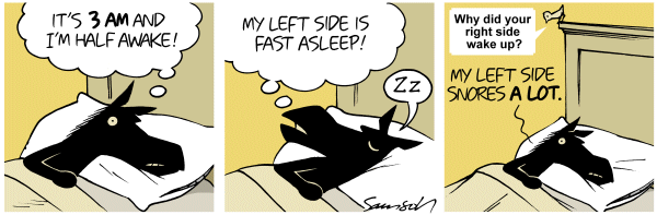 Dark Side of the Horse Comic Strip for January 17, 2012 