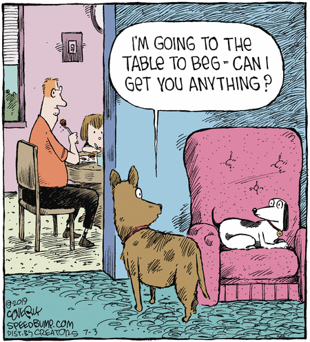 Speed Bump Comic Strip for July 03, 2019 