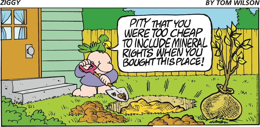 Ziggy Comic Strip for June 04, 2023 