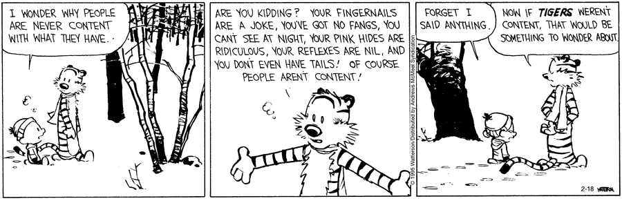 Calvin and Hobbes Comic Strip for February 18, 2025 