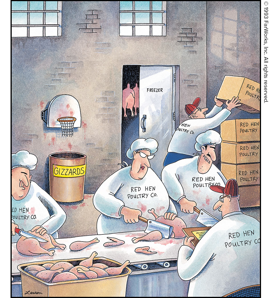 FREEZER / GIZZARDS / RED HEN POULTRY CO. 