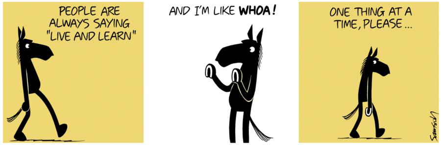 Dark Side of the Horse Comic Strip for January 27, 2020 