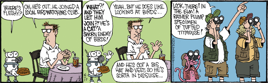 Monty Comic Strip for June 17, 2024 