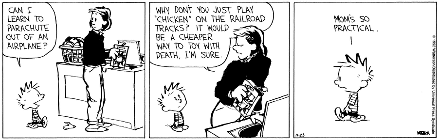 Calvin and Hobbes Comic Strip for November 23, 1992 