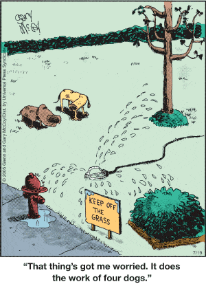 The Flying McCoys Comic Strip for July 19, 2005 