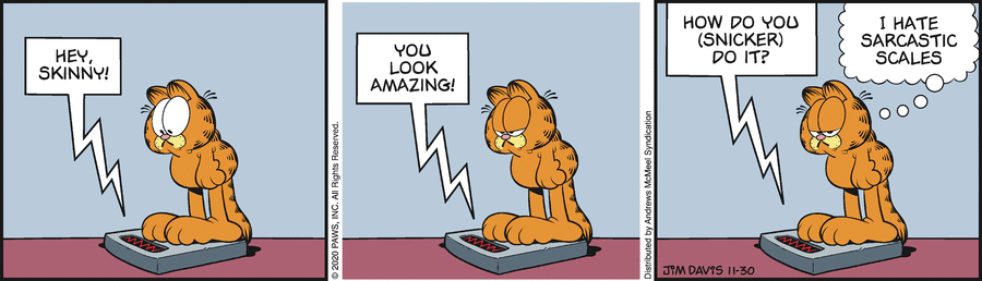 Garfield Comic Strip for November 30, 2020 