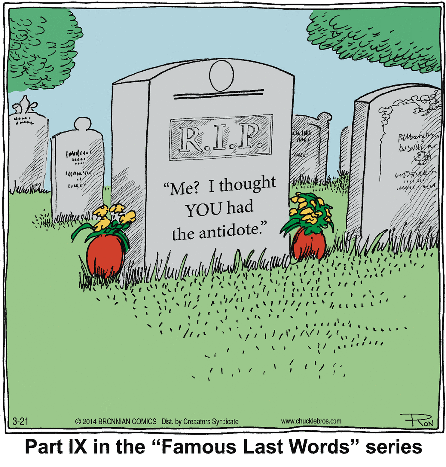 Chuckle Bros Comic Strip for March 21, 2014 