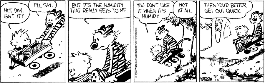 Calvin and Hobbes Comic Strip for August 06, 2016 