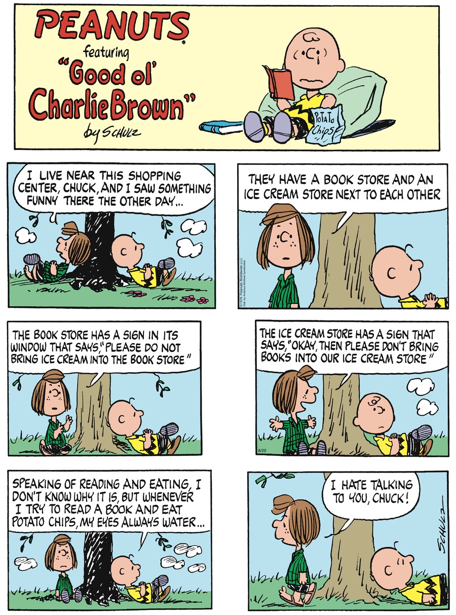 Peanuts Comic Strip for August 20, 2023 