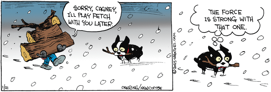 Zack Hill Comic Strip for January 21, 2025 