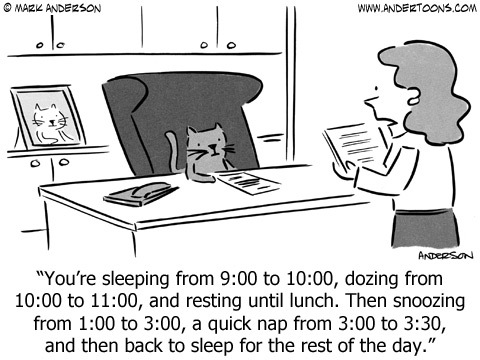 Andertoons Comic Strip for June 14, 2015 