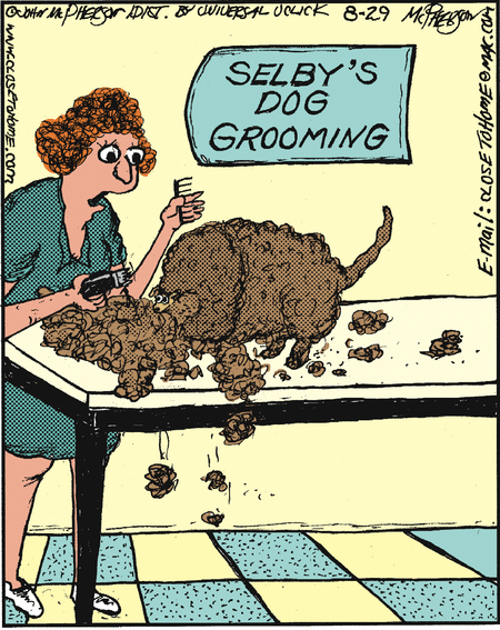 Close to Home Comic Strip for August 29, 2012 