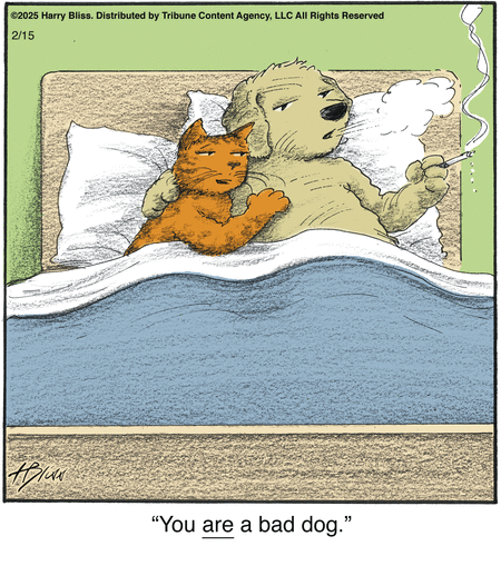 Bliss Comic Strip for February 15, 2025 