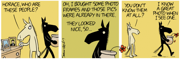 Dark Side of the Horse Comic Strip for November 06, 2011 
