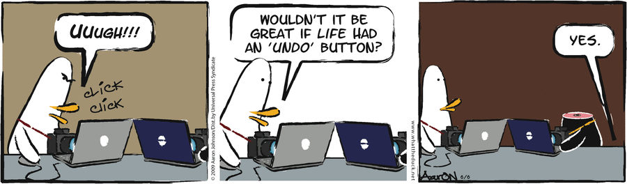 W.T. Duck Comic Strip for June 06, 2009 