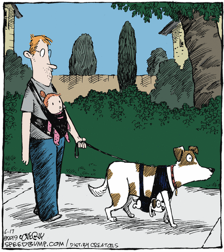 Speed Bump Comic Strip for June 17, 2019 