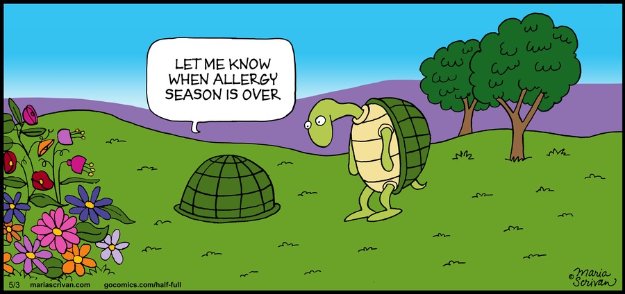 Half Full Comic Strip for May 03, 2015 