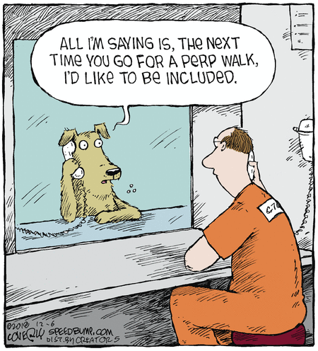 Speed Bump Comic Strip for December 06, 2018 