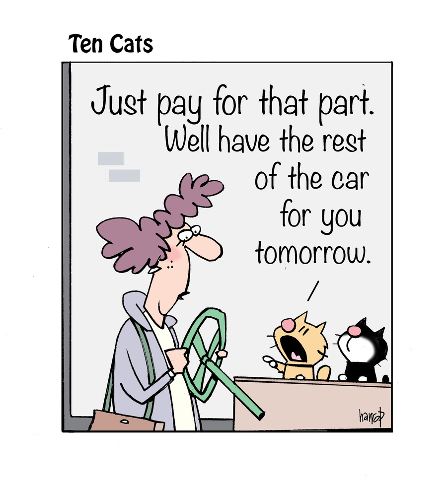 Ten Cats Comic Strip for February 19, 2025 