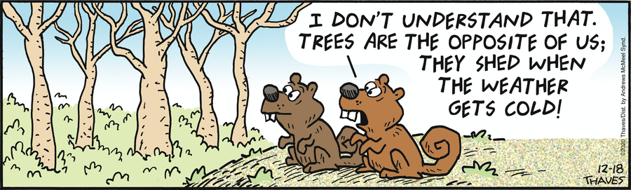 Frank and Ernest Comic Strip for December 18, 2020 