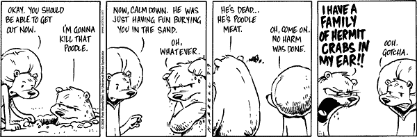 Big Top Comic Strip for July 09, 2004 