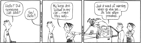 The Elderberries Comic Strip for January 04, 2008 