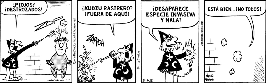 The Wizard of Id - Spanish Comic Strip for February 17, 2025 