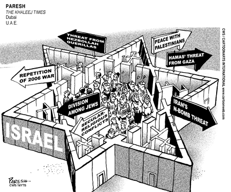 ViewsMidEast Comic Strip for January 29, 2008 