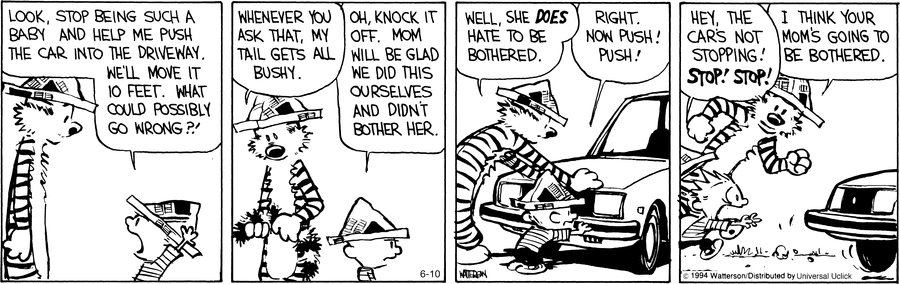Calvin and Hobbes Comic Strip for June 10, 2014 