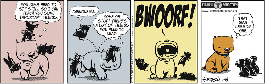 Dog Eat Doug Comic Strip for January 18, 2025 