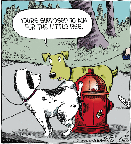 Speed Bump Comic Strip for March 05, 2014 
