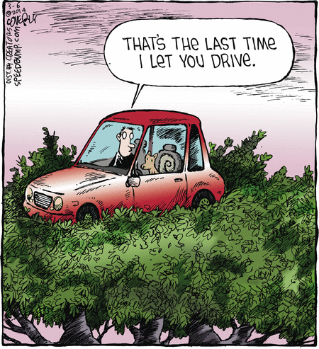 Speed Bump Comic Strip for March 06, 2014 