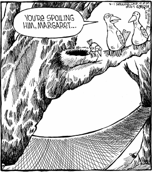 Speed Bump Comic Strip for March 01, 2005 
